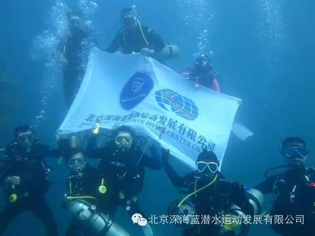搜答问-年轻人有必要早早背上高额房贷买房吗?
